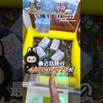 ゲーセンのプロはラブブをどうやって取っているのか教えます。(クレーンゲーム、LABUBU)