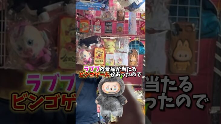 【お祭り】ラブブが当たる屋台を見つけたので実際に当たるのか挑戦してみました。(LABUBU)