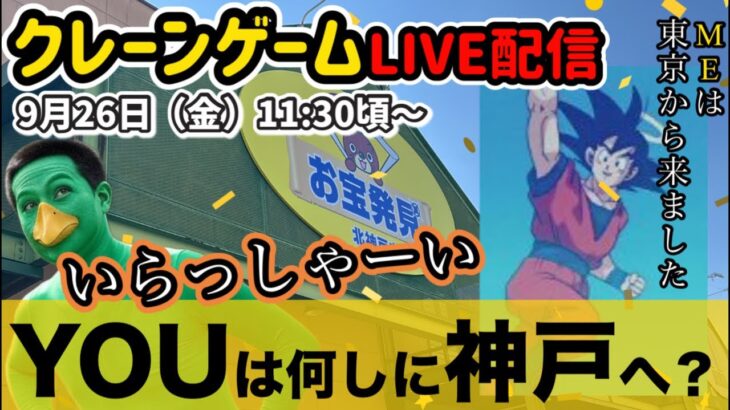 【クレーンゲームLIVE】新景品ラッシュ‼️関西最強のお宝発見北神戸店で爆取りチャレンジ🔥