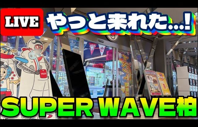 【千葉のオアシス…?】なるか!?初見攻略!! 🟨の姉妹店で暴れていくう!! LIVE IN スーパーウェーブ柏