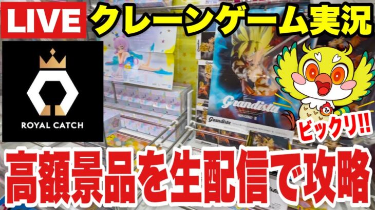【ロイヤルキャッチLIVE】オンラインクレーンゲームで高額＆人気プライズをリアルタイム攻略！/ Online Crane Game