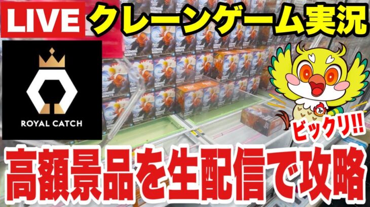 【ロイヤルキャッチLIVE】オンラインクレーンゲームで高額＆人気プライズをリアルタイム攻略！/ Online Crane Game