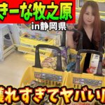 【クレーンゲーム】静岡県牧之原市にオープンするゲーセンがマジで獲れすぎる件【もってきーなMAKINOHARA店】