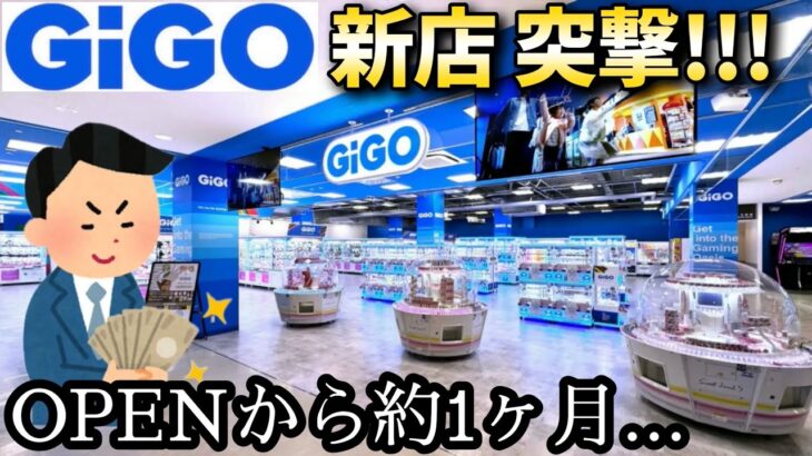 【新店】OPENから約1ヶ月経過した新店GiGOに突撃してみた結果【クレーンゲーム】