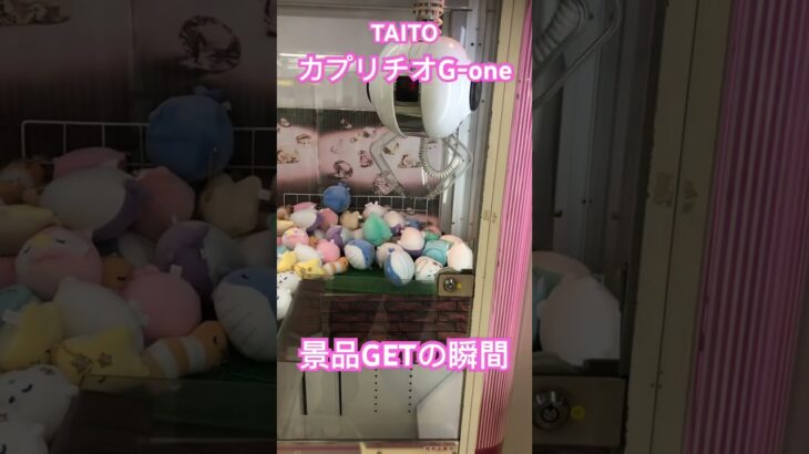 TAITO カプリチオG-one 景品GETの瞬間 #shorts #クレーンゲーム #ufoキャッチャー