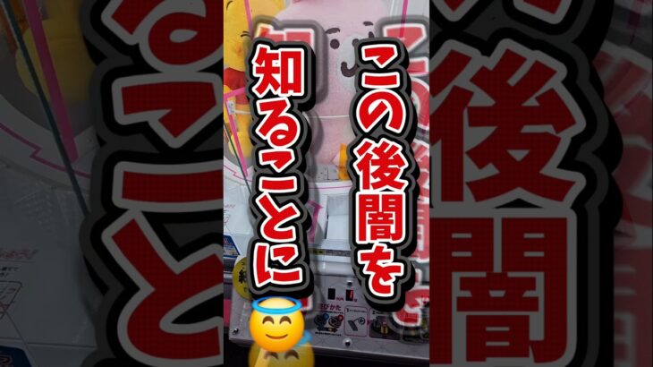 【完全実力機!?】特殊クレーンゲーム機ピタリオンでぬいぐるみを取る！#クレーンゲーム #UFOキャッチャー #ゲームセンター