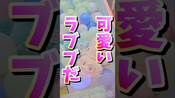 【闇ゲーセン】極悪設定のクレーンゲームでラブブは取れるのか検証！ #UFOキャッチャー #確率機 #クレーンゲーム