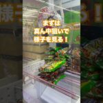 【クレーンゲーム】お菓子３段積み攻略法法 パイの実編🍫✨#クレーンゲーム #UFOキャッチャー #お菓子 #パイの実 #攻略 #ゲームセンター #3段積み #アミューズメント限定