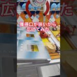この景品持ってる人いない説　#ゲーセン#UFOキャッチャー#ツイステ#オガトゥーン