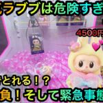 【クレーンゲーム】大人気のラブブぬいぐるみキーホルダーを攻略ゲットしたいが！？いくらでとれる！？【UFOキャッチャー】【確率機】