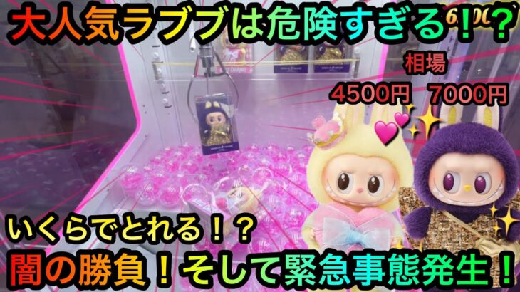 【クレーンゲーム】大人気のラブブぬいぐるみキーホルダーを攻略ゲットしたいが！？いくらでとれる！？【UFOキャッチャー】【確率機】