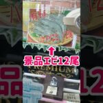 【UFOプレミアム】景品はエビ12尾🦐🦞