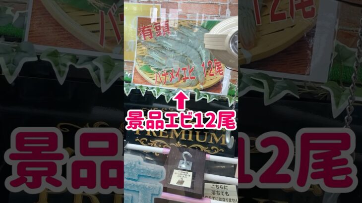 【UFOプレミアム】景品はエビ12尾🦐🦞
