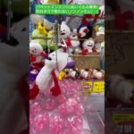 続・UFOキャッチャーシリーズ!!パペットスンスンBIGぬいぐるみ発見!!取れそうで取れないノンノンさん(^_^;)