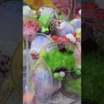 🍧🍧🍧この景品が食べられたらいいのに。クレーンゲーム、ゲームセンター、UFOキャッチャー、YouTubeショート