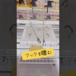 フックを嗜む🥸フック設定の個人的な狙いどころは…🤔マンガ倉庫飯塚店 うさぎUSBスタンドライト(ちいかわ)#ufoキャッチャー #クレーンゲーム #攻略 #解説 #フィギュア