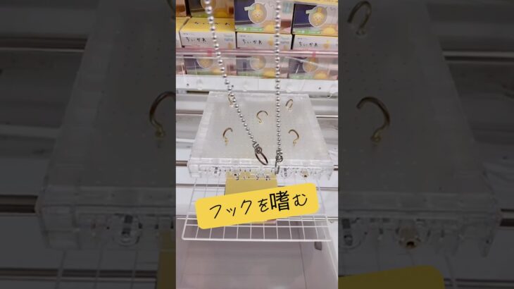 フックを嗜む🥸フック設定の個人的な狙いどころは…🤔マンガ倉庫飯塚店 うさぎUSBスタンドライト(ちいかわ)#ufoキャッチャー #クレーンゲーム #攻略 #解説 #フィギュア