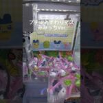 たまごっち プチッとすわりマス みみっちVer