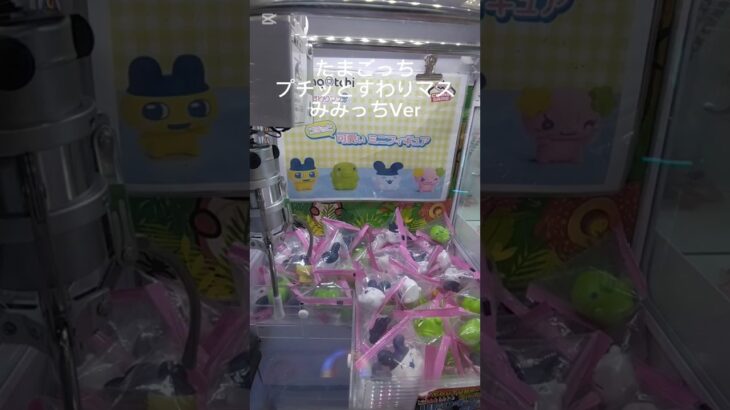 たまごっち プチッとすわりマス みみっちVer
