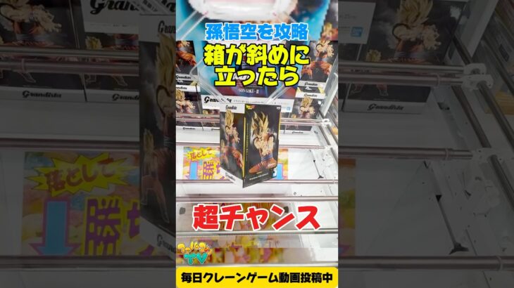 【クレーンゲーム】橋渡し設定で奇跡！箱が斜めに立ったら超チャンス！ドラゴンボールZ孫悟空を攻略！Claw Machine Son Goku