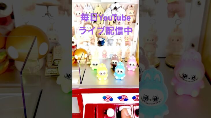 #ラブブ#クレーンゲーム #ゲームセンター #アミューズメント限定 #ゲーセン #ガチャガチャ #clawmachine #景品 #ufoキャッチャー #ゲーム #shorts #推し活