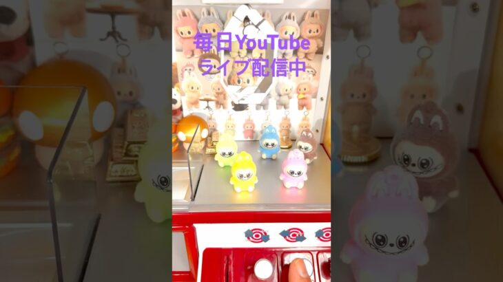 #ラブブ#クレーンゲーム#ゲームセンター #アミューズメント限定 #ゲーセン #ガチャガチャ #clawmachine #景品 #ufoキャッチャー #shorts