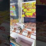 あんドーナツ爆とれ！＃おたちゅう #ゲームセンター #クレーンゲーム #colonelkkjϟ #ゲーセン #japaneseclawmachine #ufoキャッチャー #arcade