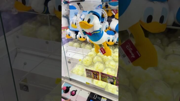 これはうまいドナルドゲット #ゲームセンター #クレーンゲーム #colonelkkjϟ #ゲーセン #japaneseclawmachine #ufoキャッチャー #攻略 #arcade#おたちゅう