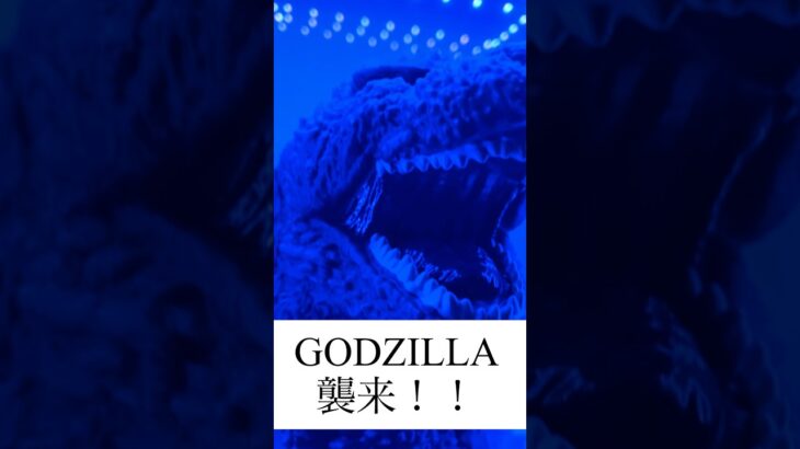 【フィギュア好き必見】コレクションケースで映えるゴジラ🐉 #shorts #クレーンゲーム #ufoキャッチャー #ゲームセンター #ドラゴンボール #ゴジラ　#GODZILLA