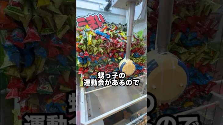 運動会の準備を任されたのでゲーセンで調達したらまさかの結果に、、、 #shorts #クレーンゲーム #ufoキャッチャー #ゲーセン #ゲームセンター #arcade #clawmachine