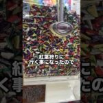 紅葉狩りに行く準備を任されたのでゲーセンで調達したらまさかの結果に、、、 #shorts #クレーンゲーム #ufoキャッチャー #ゲーセン #ゲームセンター #arcade #clawmachine