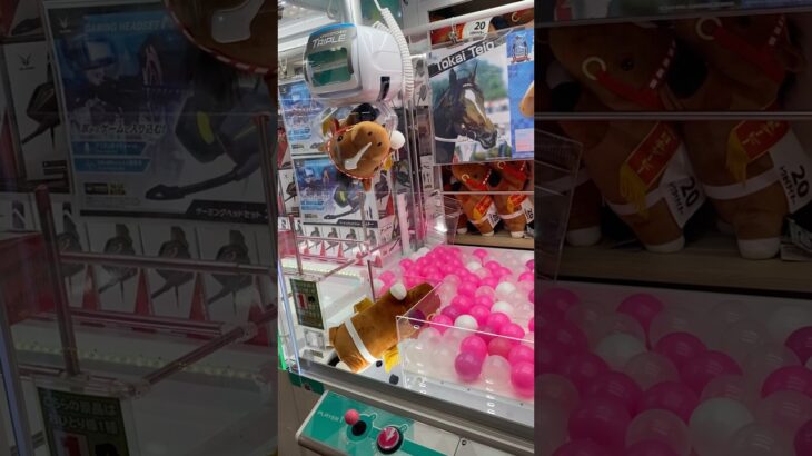 こんな取り方ありですか!?#shorts #クレーンゲーム #ufoキャッチャー #ゲーセン #clawmachine #arcade #funny #tiktok