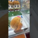取りすぎちゃってごめんなさい#shorts #クレーンゲーム #ufoキャッチャー #ゲーセン #clawmachine #arcade #funny #tiktok
