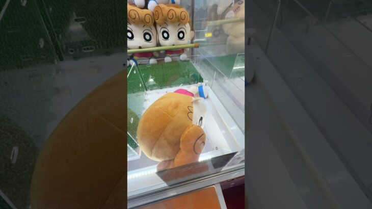 取りすぎちゃってごめんなさい#shorts #クレーンゲーム #ufoキャッチャー #ゲーセン #clawmachine #arcade #funny #tiktok