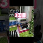 この瞬間❣️ #shortsfeed #shorts #楽しい #ゲームセンター #チャレンジ #元気になる動画 #クレーンゲーム #ufoキャッチャー #すごい #やみつき #景品