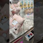 【その１０】ハヤッチ取れるか取れない！？キャッチャーチャレンジ〜攻略法が知りたい〜#shorts#クレーンゲーム#ufoキャッチャー#ゲーセン#ゲームセンター#ゲーム#ハヤッチ