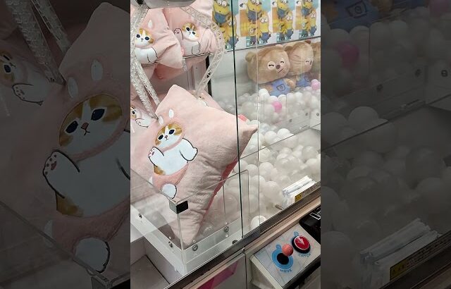 【その１０】ハヤッチ取れるか取れない！？キャッチャーチャレンジ〜攻略法が知りたい〜#shorts#クレーンゲーム#ufoキャッチャー#ゲーセン#ゲームセンター#ゲーム#ハヤッチ