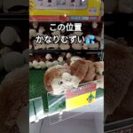 みんなだったら店員さんに元の位置に置きかえてもらう？ #クレーンゲーム景品 #クレーンゲーム #クレーンゲーム攻略 #ゲームセンター #ufoキャッチャー #かわいい