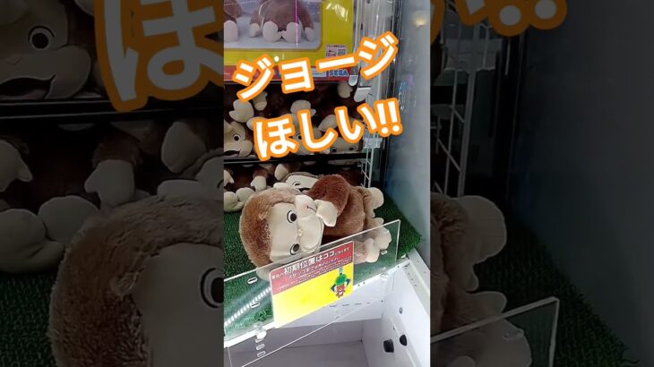 あきらめないぞ🥺 #クレーンゲーム景品 #クレーンゲーム #クレーンゲーム攻略 #ゲームセンター #ufoキャッチャー #かわいい