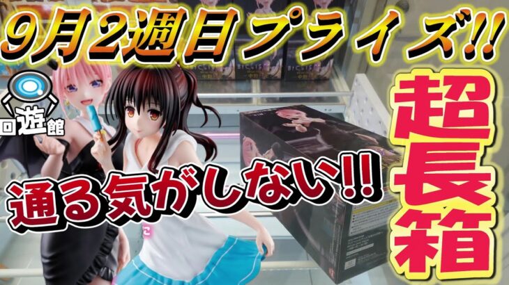 【クレーンゲーム】超絶長箱相手に大苦戦⁉#ufoキャッチャー #クレーンゲーム  #フィギュア #プライズ #回遊館#倉庫系#ゲームセンター#お菓子#ゲーセン#アミューズメント限定