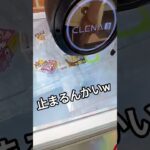 するする〜っと取るんかな🤓 #クレーンゲーム #クレーンゲーム景品 #ゲームセンター #クレーンゲーム攻略 #ufoキャッチャー #ゲーセン #チョコボール