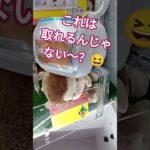 もう取れる予感🤓‼️ #クレーンゲーム景品 #クレーンゲーム #クレーンゲーム攻略 #ゲームセンター #ufoキャッチャー #かわいい #ゲーセン #ミニクレーンゲーム
