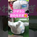 アザラシ連れて帰りたい🦭 #クレーンゲーム景品 #ゲームセンター #クレーンゲーム攻略 #クレーンゲーム #ufoキャッチャー #ゲーセン #かわいい