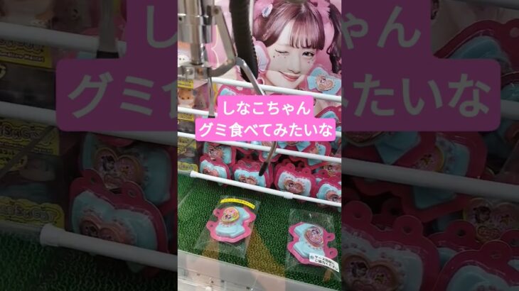 しなこちゃんが好きすぎる♥ #クレーンゲーム景品 #ゲームセンター #ショート #クレーンゲーム攻略 #ufoキャッチャー #ゲーセン #しなこちゃん #しなこワールド #グミ