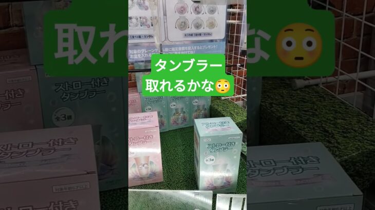 タンブラーほしい‼️ #クレーンゲーム景品 #ゲームセンター #クレーンゲーム攻略 #クレーンゲーム #ufoキャッチャー #ゲーセン