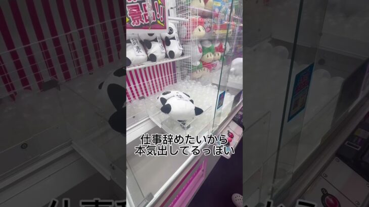 #ufoキャッチャー動画 #クレーンゲーム #クレーンゲーム動画 #クレーンゲーム景品 #社畜 #社畜日常