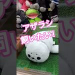 アザラシかわいいよね😍 #クレーンゲーム #クレーンゲーム景品 #ゲームセンター #クレーンゲーム攻略 #ufoキャッチャー #ゲーセン