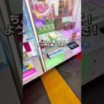 みんなはディズニーなら誰推しかコメントしてね🥰谷落しの設定の攻略法教えます！#クレーンゲーム #クレーンゲーム攻略 #ラウンドワン #ufoキャッチャー #大量ゲット #ゲーセン #確率無視