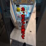クレーンゲームで大人気ラブブが取れるのいいよね☺ぜひ大阪ホビーセンターに遊びに行ってね☺#クレーンゲーム #ufoキャッチャー #ゲームセンター #クレーンゲーム攻略  #確率無視  #ラブブ