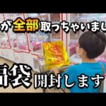 【クレーンゲーム】念願の福袋!!少年が超優良ゲームセンターでお菓子食料品を狙った結果···【ufoキャッチャー 回遊館】
